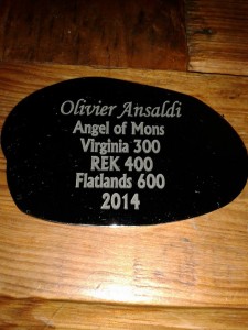 Olivier Ansaldi